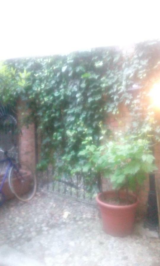 Central Apartment With Garden ミラノ エクステリア 写真